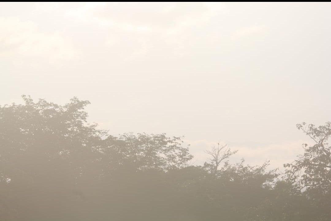 【あ 】シグマ APO 150-500mm F5-6.3 DG キャノン用