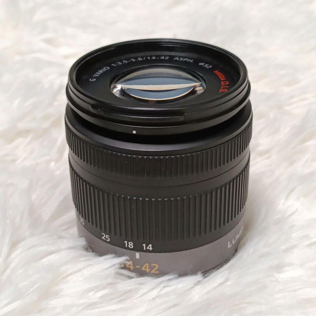 【人気カラー】Panasonic LUMIX GF2 ミラーレスカメラ