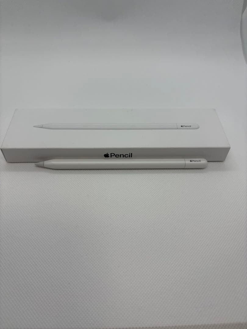 Apple Pencil USB-C アップル純正品