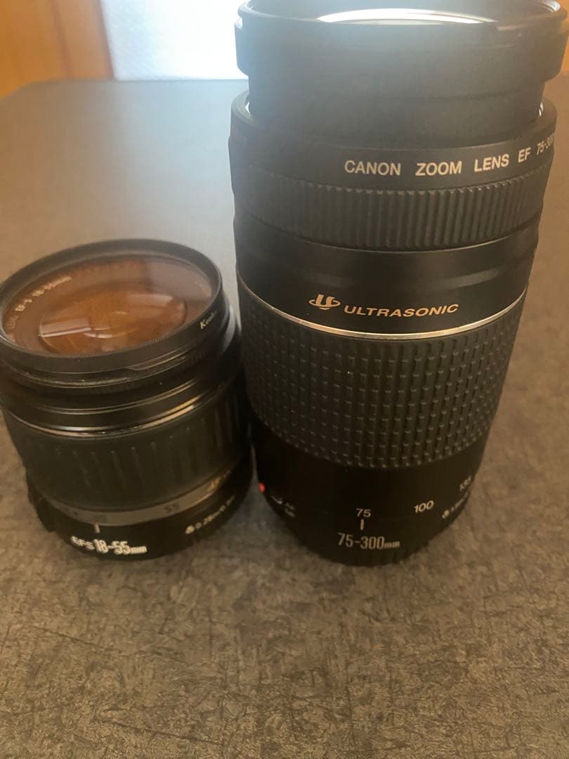 Canon EOS KISS X9 ズームレンズ2本付