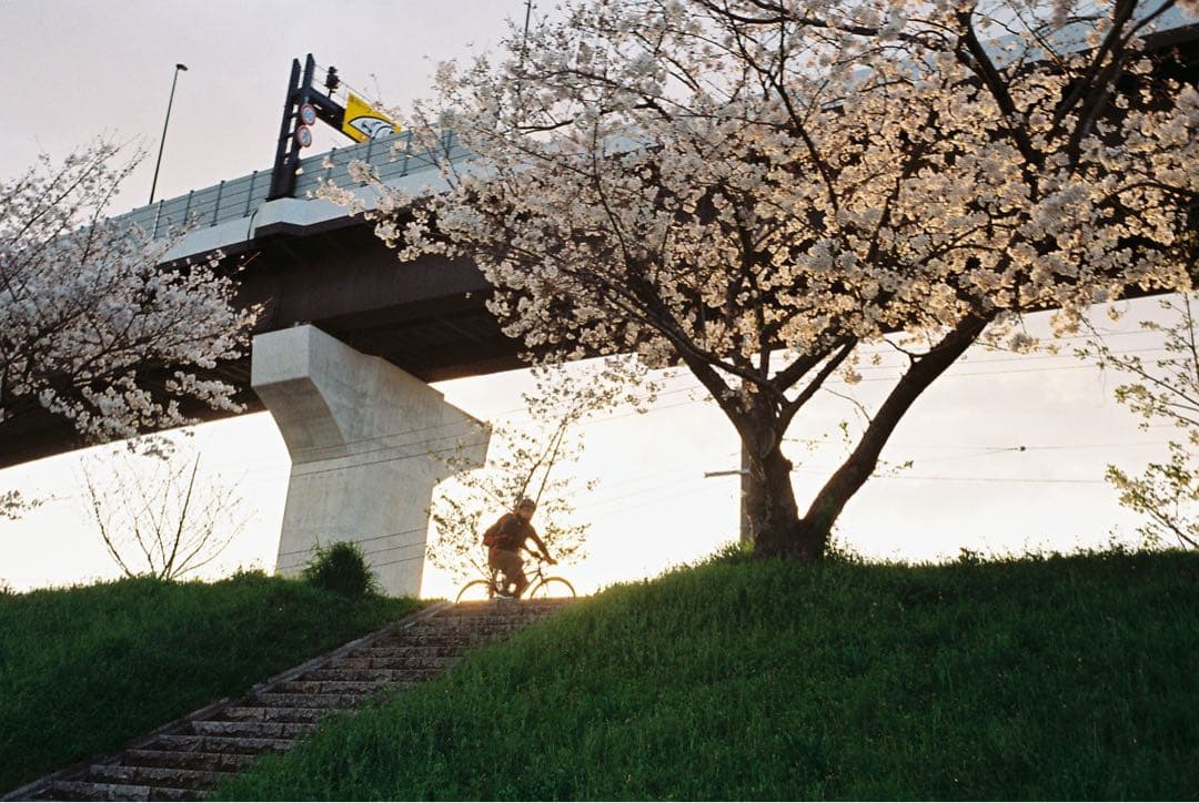 Rollei ローライ 35 Tessar 3.5/40