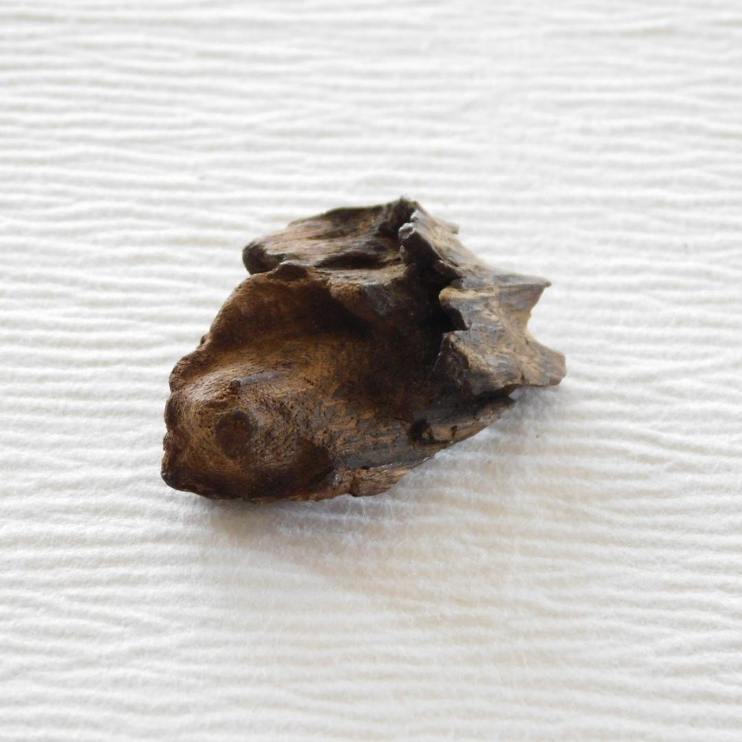 ◆ 「古渡暹羅 泥沈香」　約3.6g　ベトナム産　シャム沈香　　　◇ 香木　伽羅