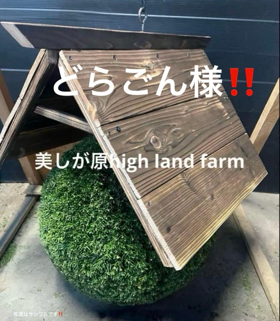 杉玉　約30センチ‼️お客様ご注文品　木札紐ご希望　♪