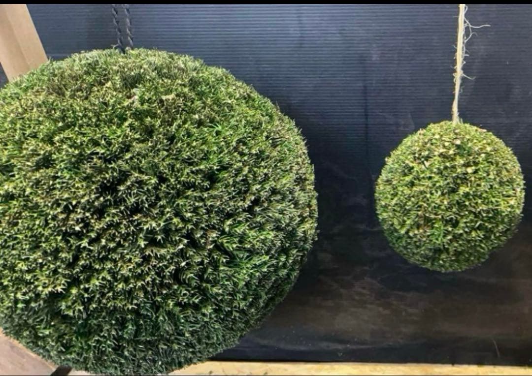 杉玉　約30センチ‼️お客様ご注文品　木札紐ご希望　♪