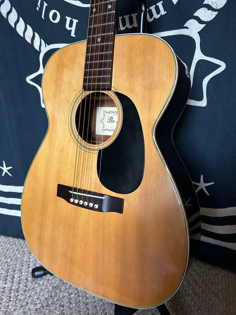 最終特価❣️極美品❣️70s 国産ビンテージ❣️ProMartin Ｆ-170 良音❣️