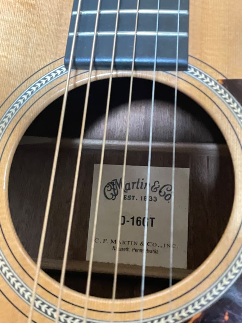 Martin & Co. D-16GT アコースティックギター