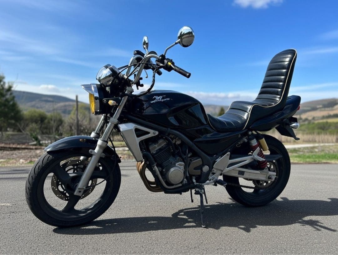 バリオス用 3段シート 45cm オオカワ製 即発送