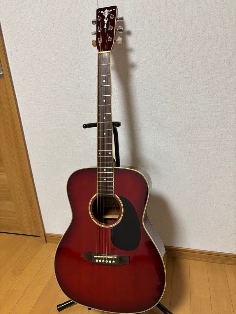 専用！美品！初心者、女性の方、学生さんに最適！！ARIA アリアADF250RD