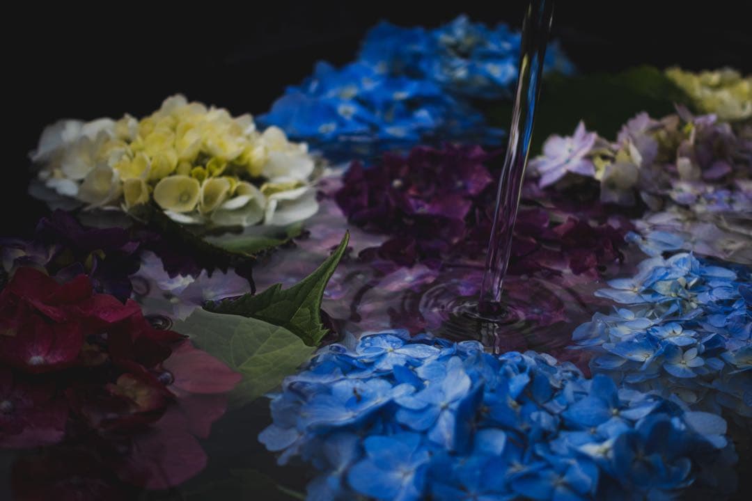 SONY VLOGCAM ZV-1 セット コンパクトデジタルカメラ