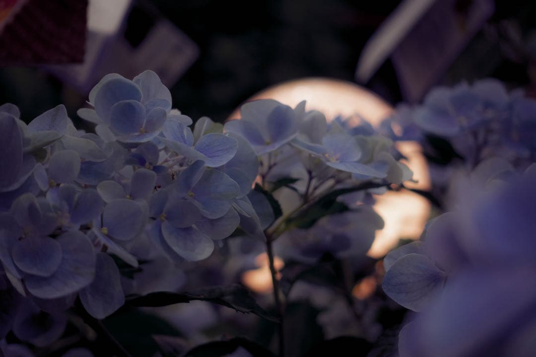 SONY VLOGCAM ZV-1 セット コンパクトデジタルカメラ