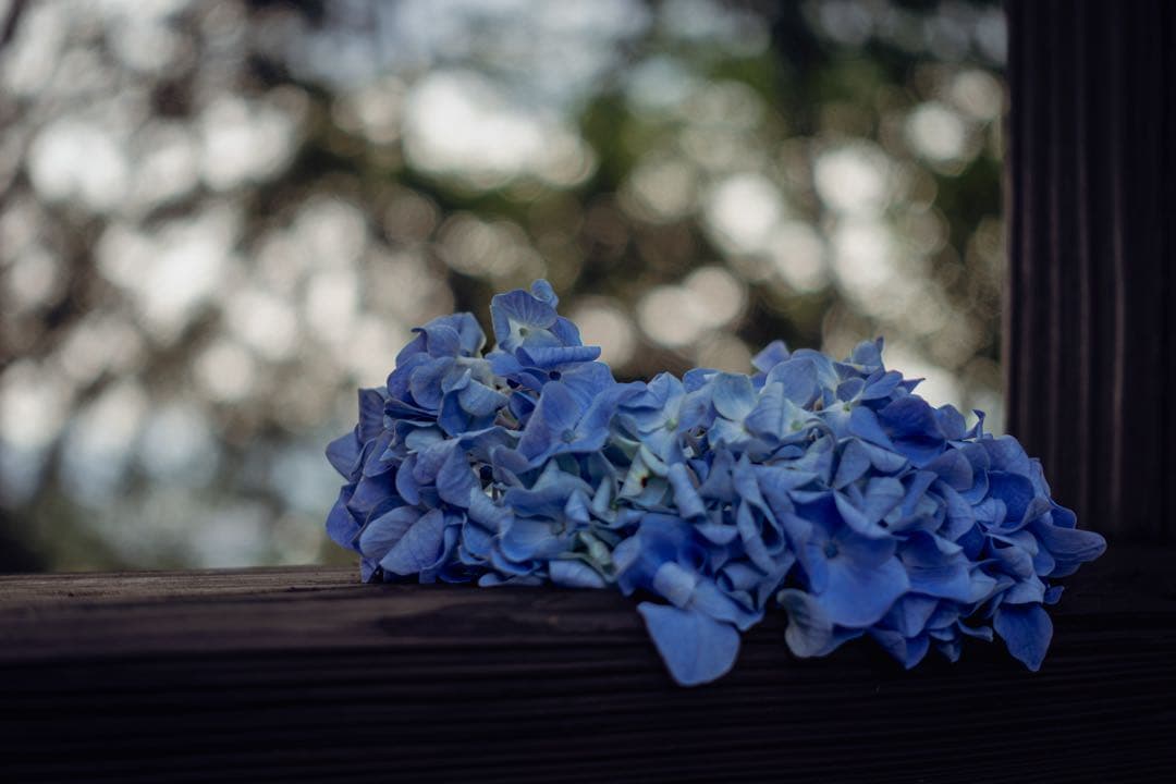 SONY VLOGCAM ZV-1 セット コンパクトデジタルカメラ