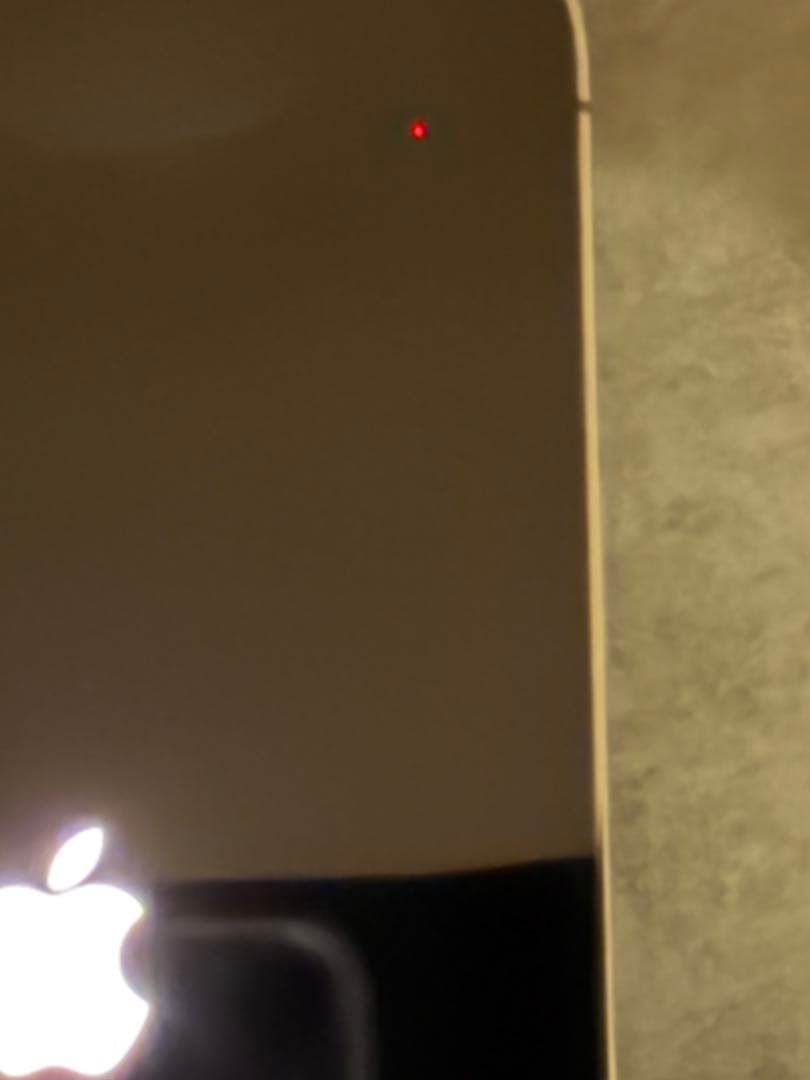 iPhone 13 Pro Max 256GB グラファイト