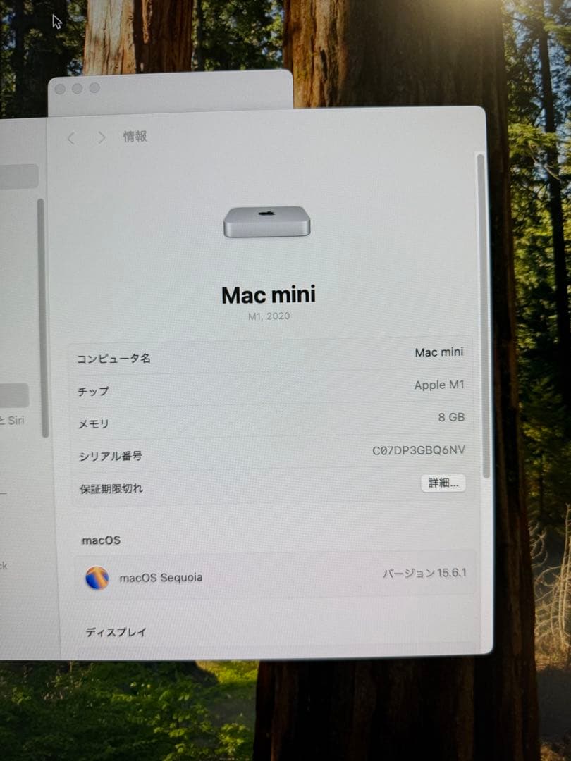 Mac mini 2020（M1） メモリー8GB ストレージ256GB