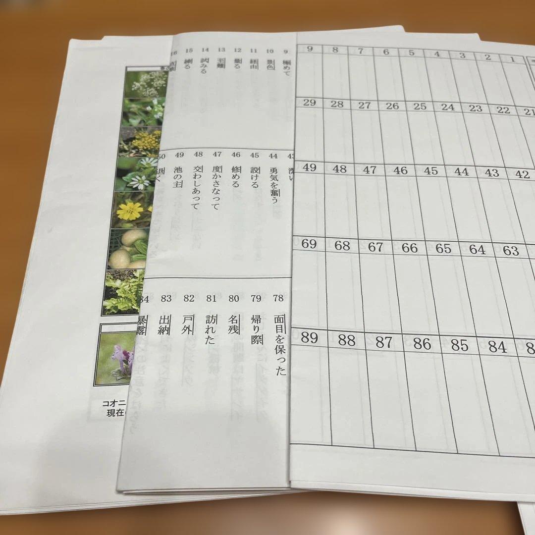 名進研　小6 サンデー名進研⭐︎志望校別特訓⭐︎正月特訓