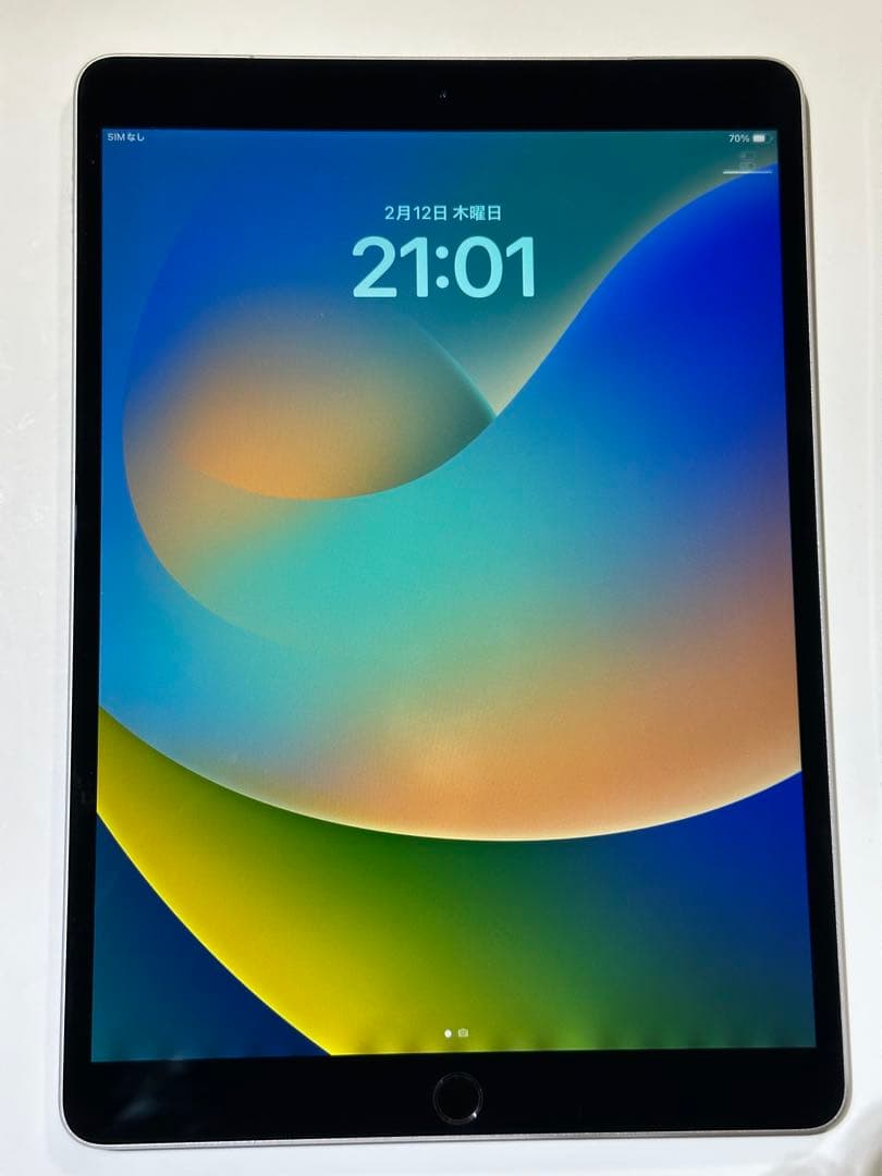 【訳あり】【US版シャッター音なし】iPad Pro 10.5 64GB