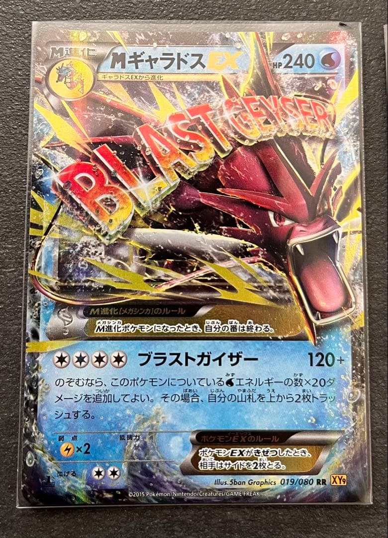 【ポケモンカードゲーム】MギャラドスEX2枚