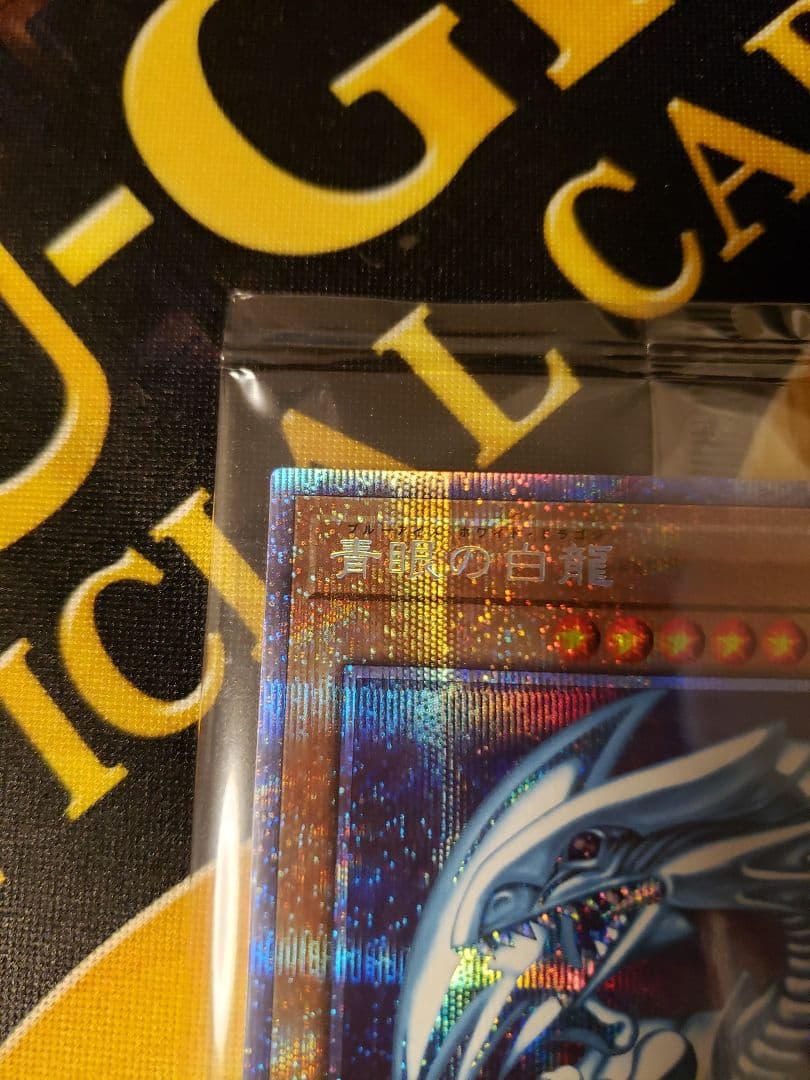 遊戯王 3000枚限定 青眼の白龍 プリシク