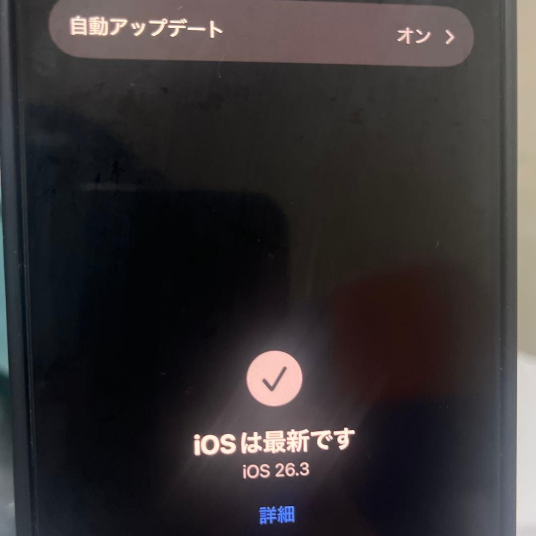 【極美品】iPhone15 Pro ブループラチナム バッテリー最大容量91%