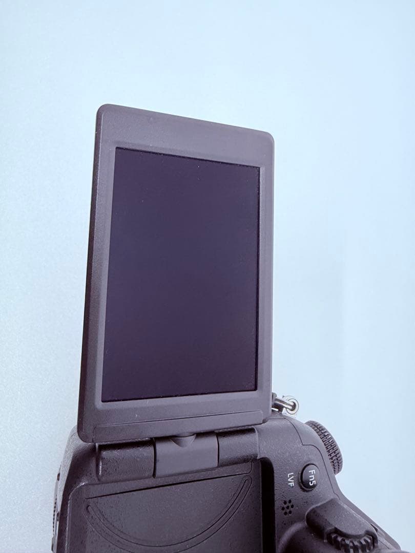 Panasonic DMC-FZ1000 4Kデジカメ 付属品充実