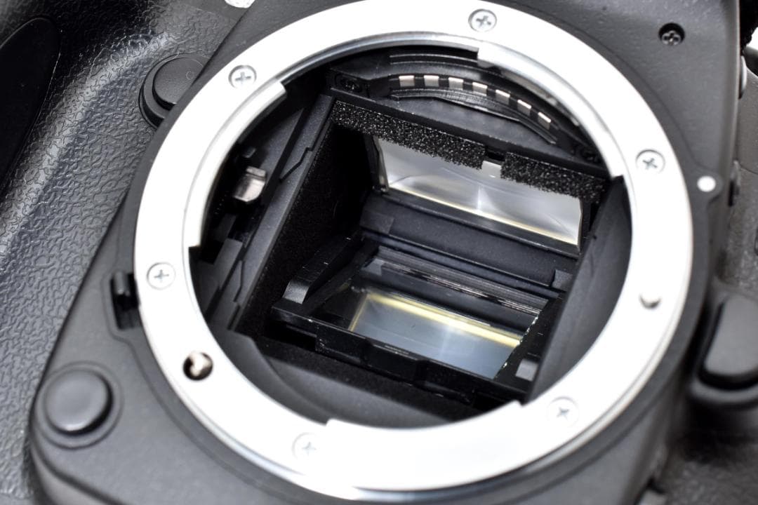 超美品 NIKON D80 デジタル ボディ ショット数 1356枚 H197