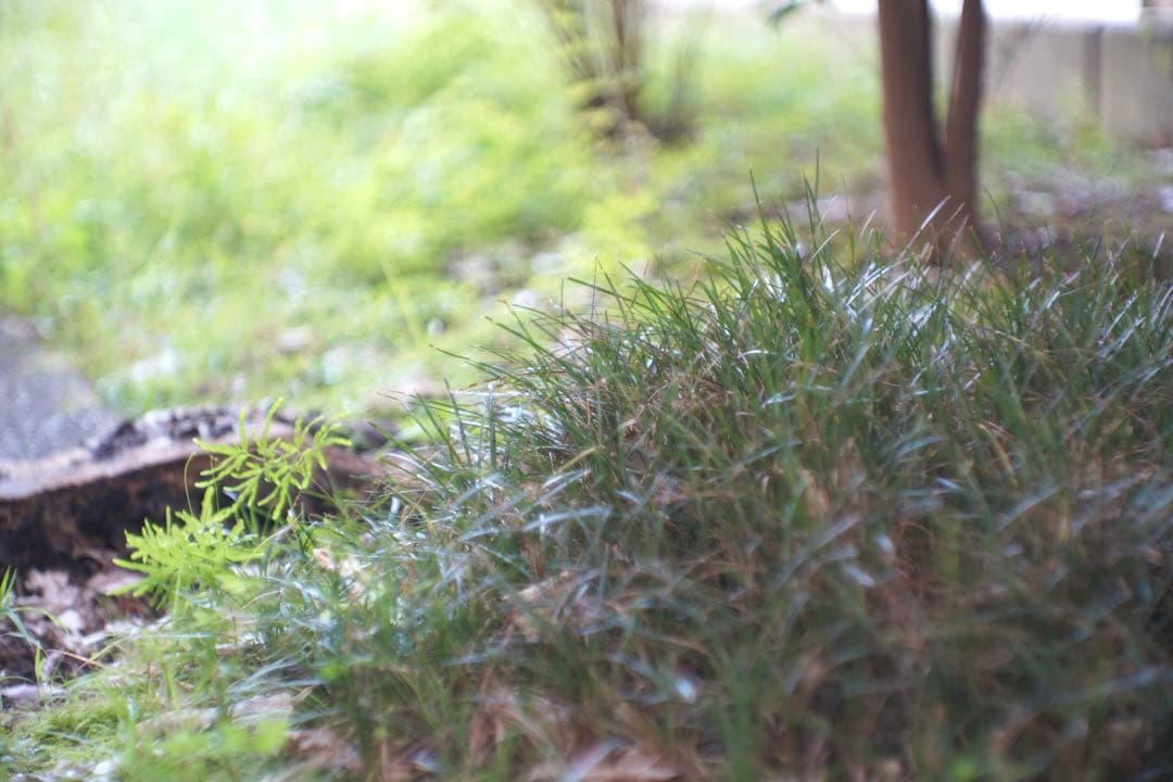 ライカ｜ヘクトール L73mm/F1.9 Hektor 7.3cm ニッケル