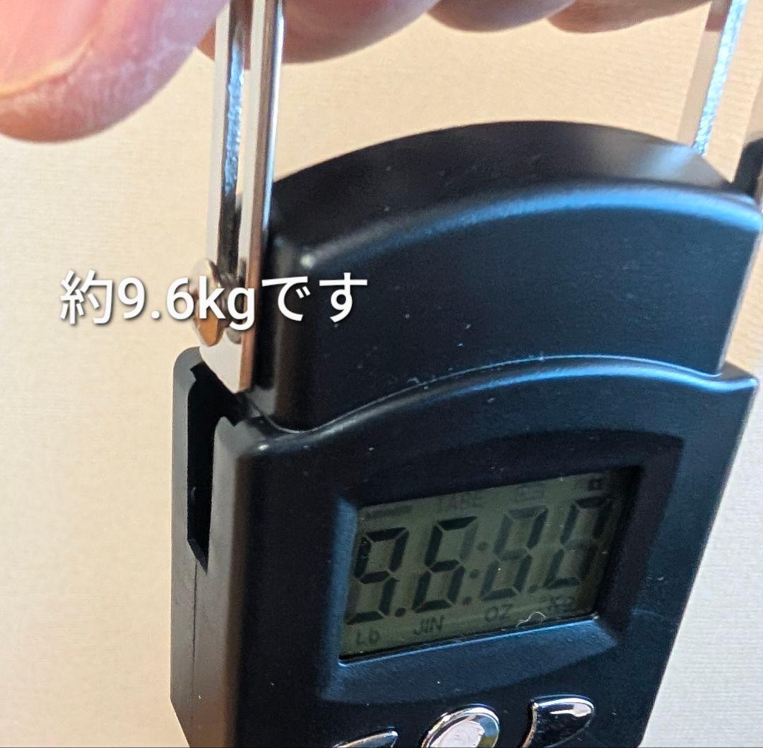 外国 たくさん 約9.6kg