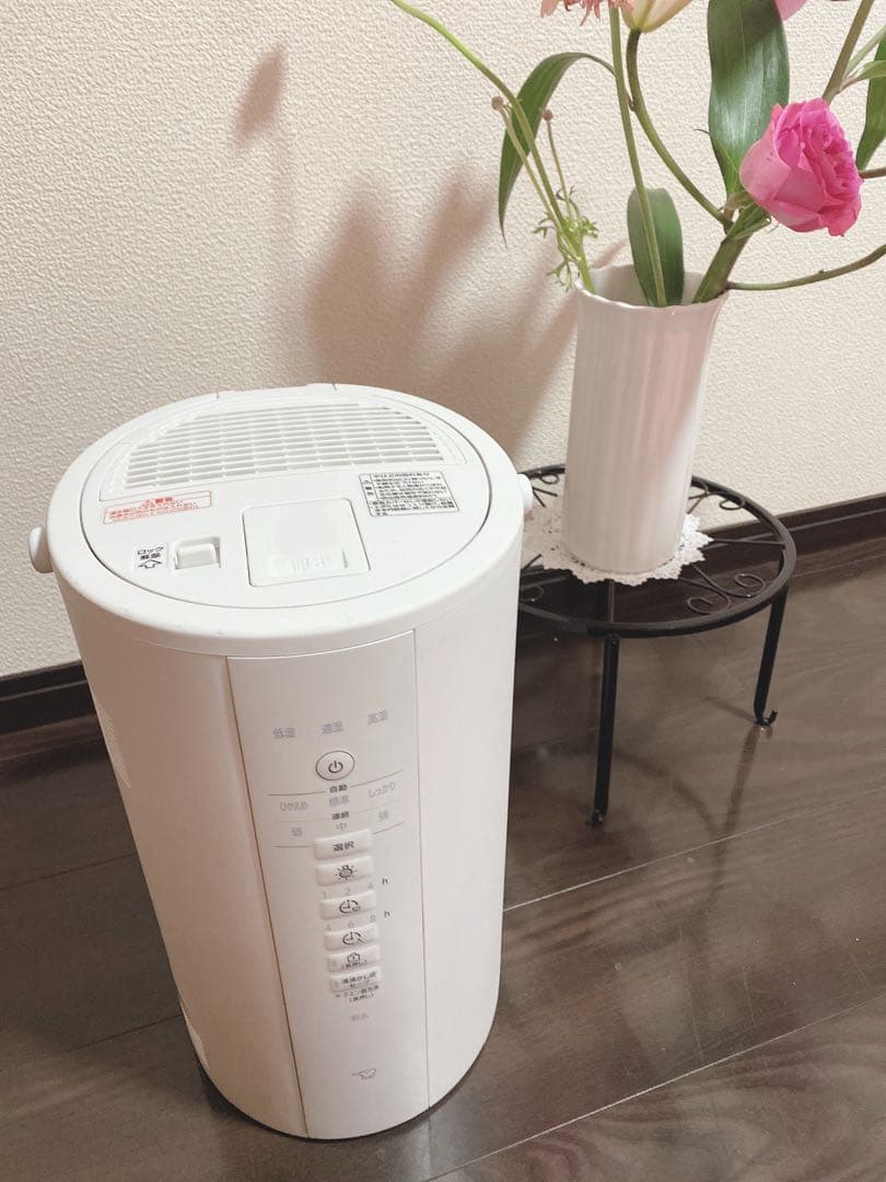 2025年製造　象印(ZOJIRUSHI)スチーム式加湿器EE-DE50 白