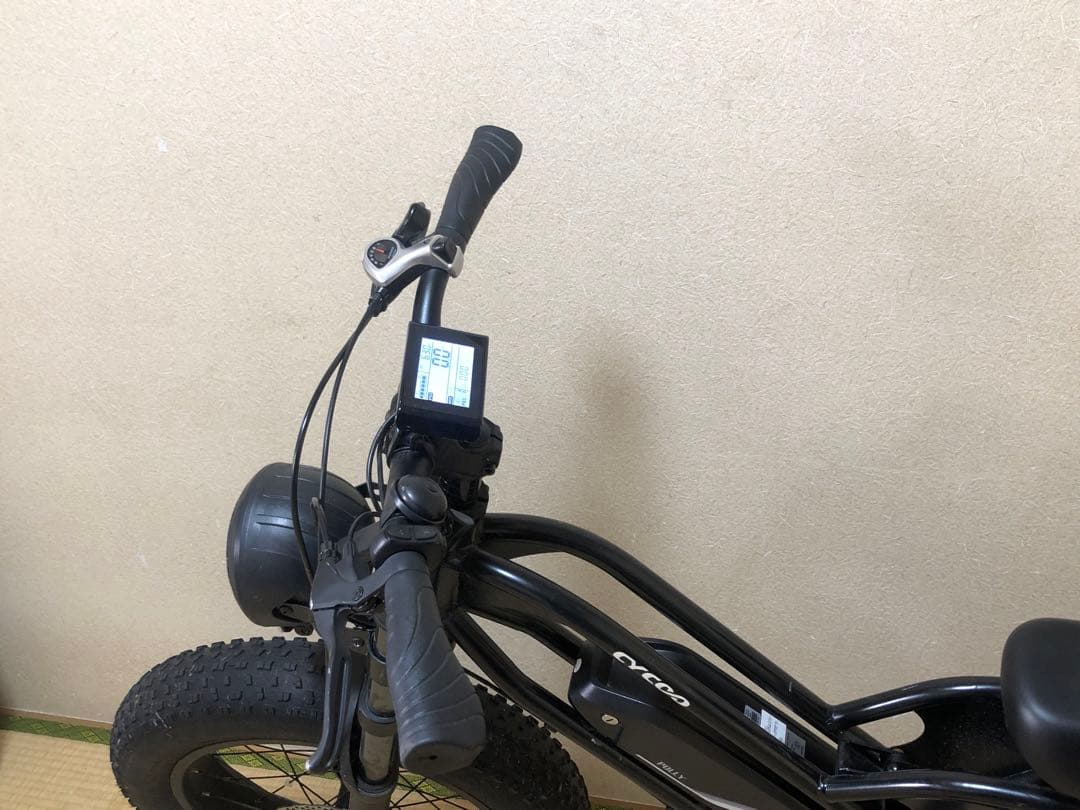 電動アシスト自転車