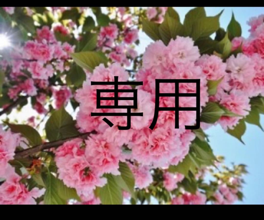 西川Air 01 ハード　セミダブル