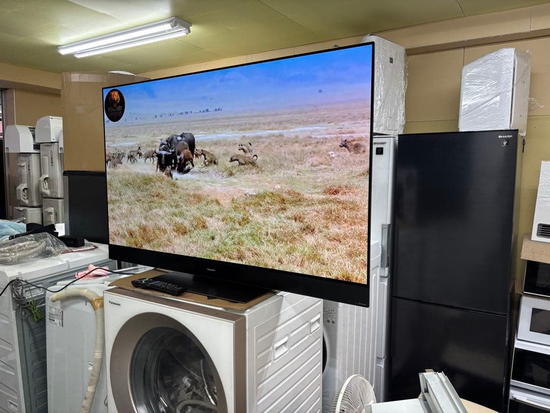 Panasonic TH-55GZ2000 55型 有機ELテレビ フラッグシッ