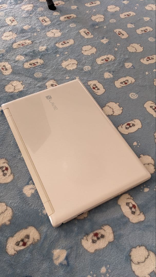 Windowsノート本体 NEC LAVIE NS300/H 1TB