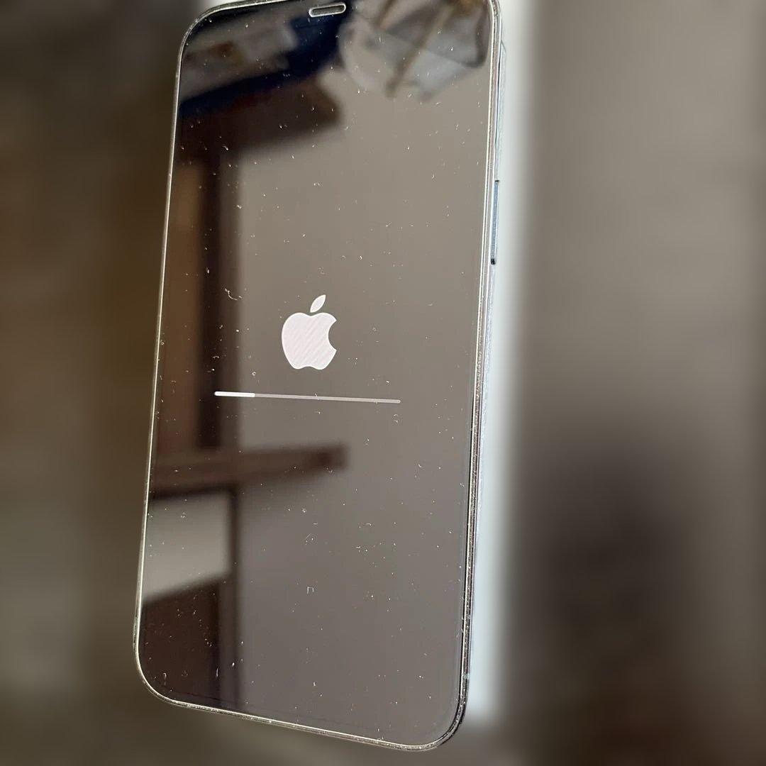 iPhone 12 Pro Max 128GB 充電ケーブル付き　SIMフリー