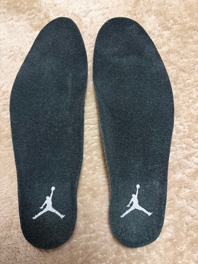 シューズ(男性用) Nike Air Jordan 6 Retro llic Silver