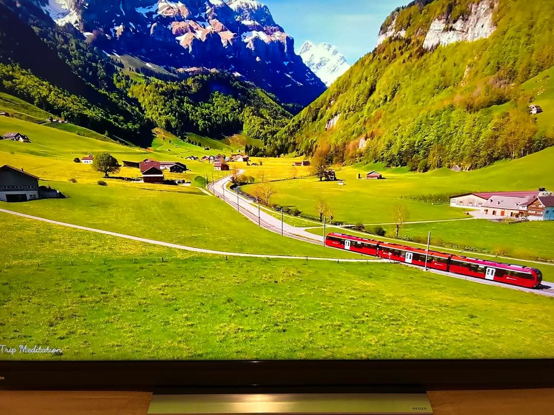 東芝REGZA55V型 液晶テレビ 55BM620X 2018年製