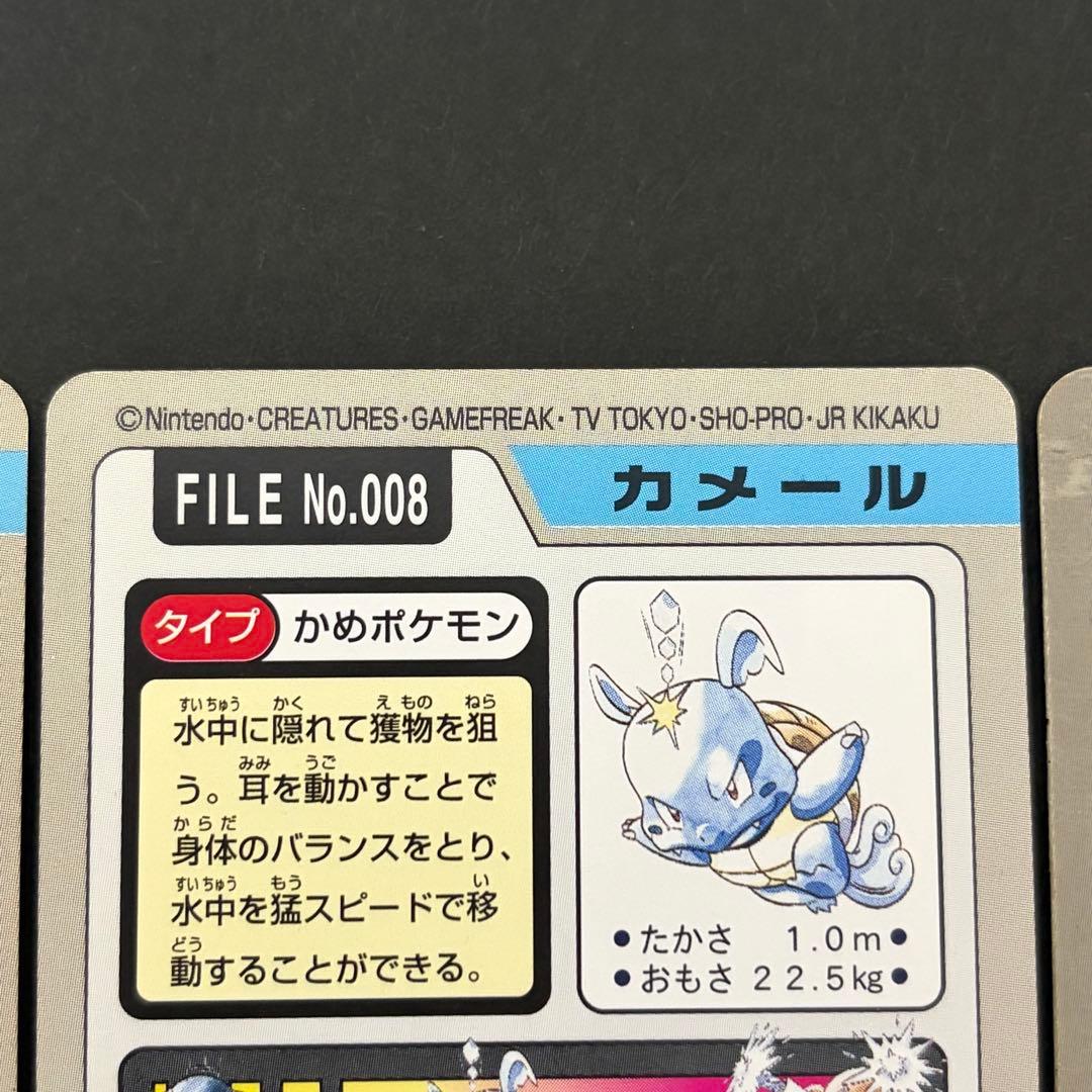 【美品】 カメックス　カメール　ゼニガメ　カードダス　ポケモンカード　進化セット