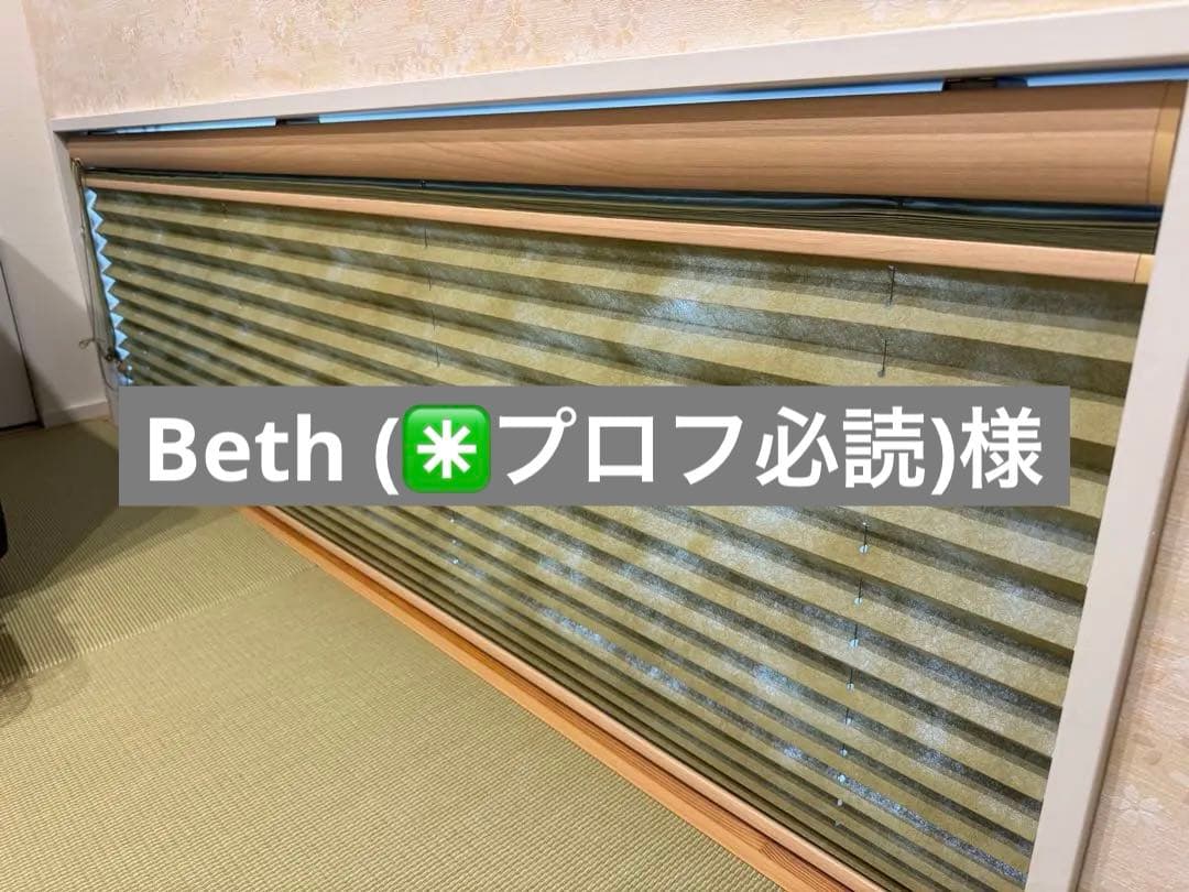 ニトリ ニチベイ プリーツスクリーン もなみ ツインスタイル ループコード式