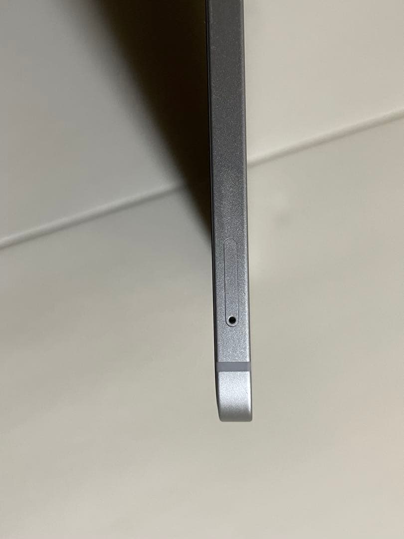 Apple iPad Pro 12.9インチ256GB 第5世代/PITAKA