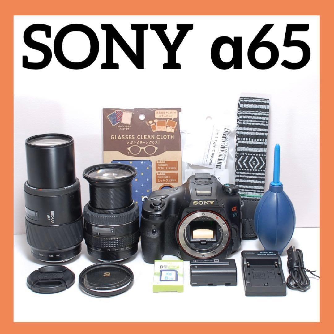 ✨届いたらすぐに使えます✨SONY α65✨超望遠レンズ付き✨ダブルレンズ✨