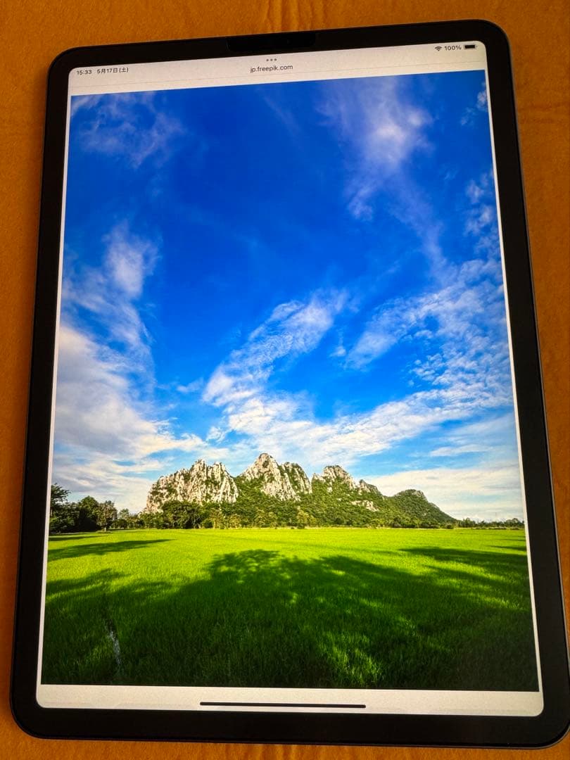 iPad Pro11 256G 第2世代 Apple Pencilラッキー様