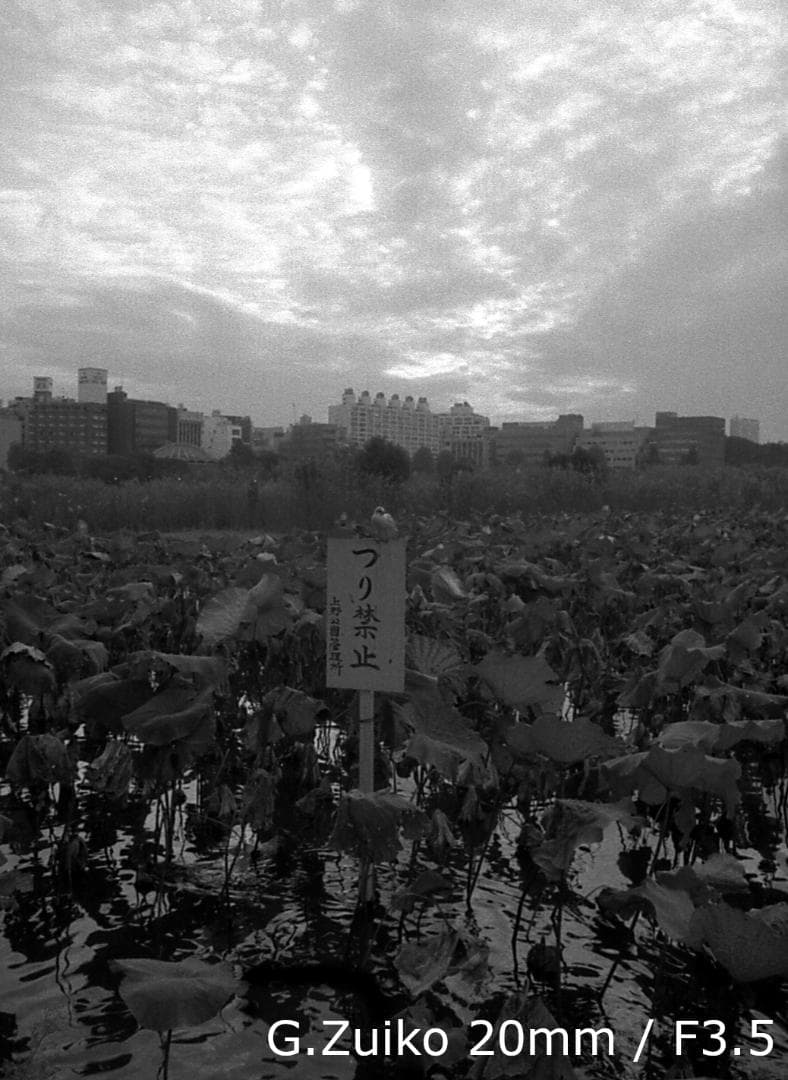 オリンパス・ペン FT + 38mm + 20mm