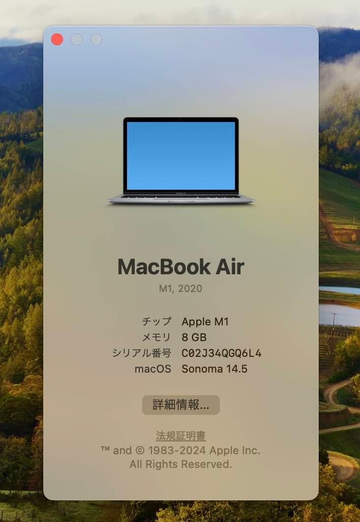 MacBook Air M1 8GB 13インチ（Majextand付）