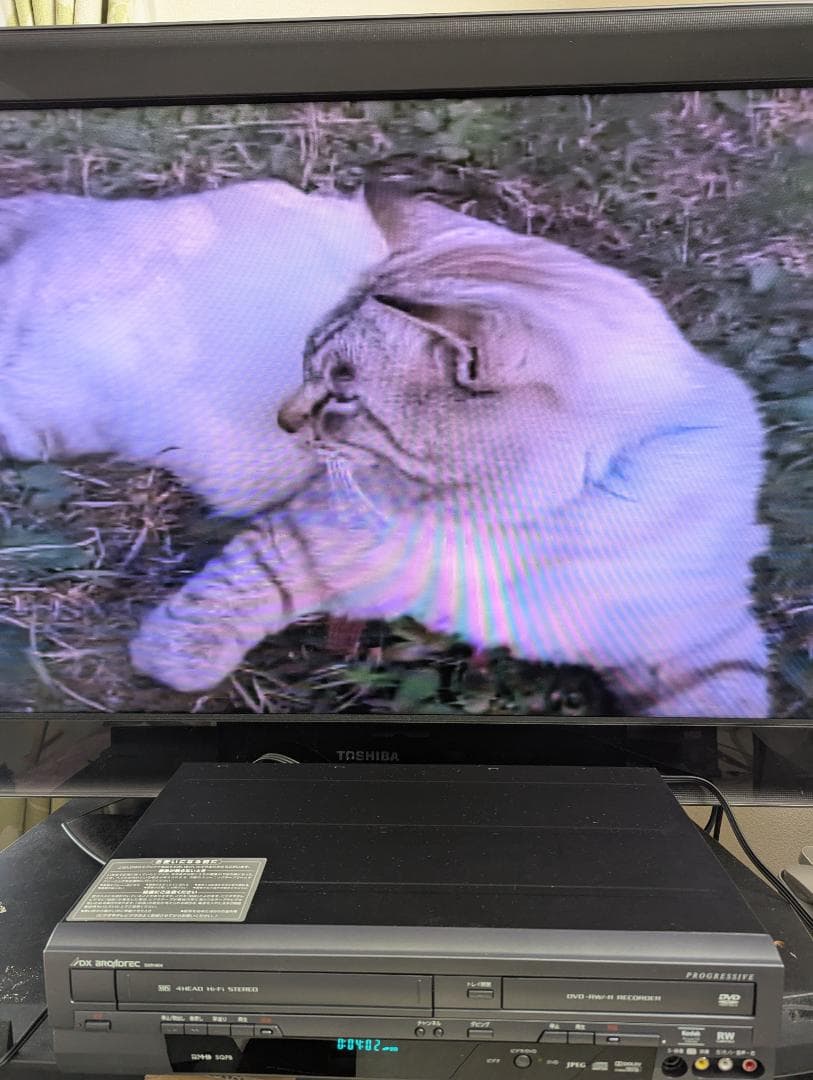 ヤス＊＊　DX BROADTEC デジタルDVDレコーダー DXR160V