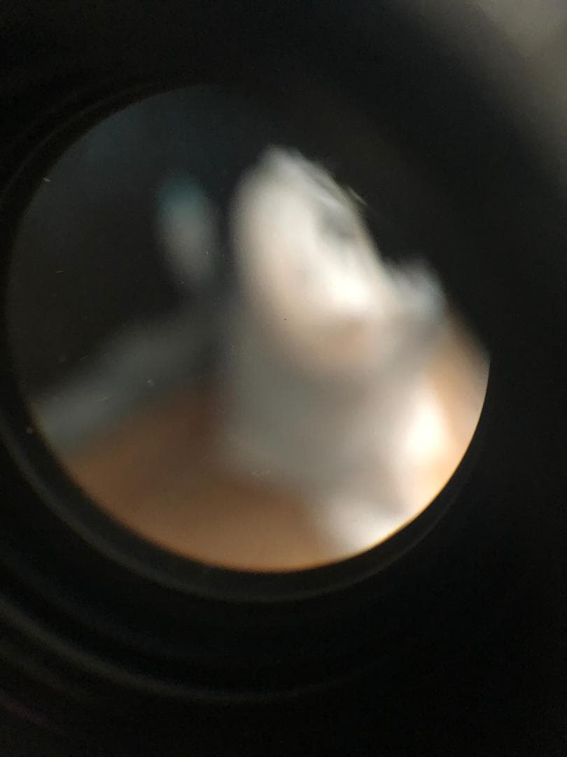 レンズ(単焦点) Ai Nikkor 50mm f1.4