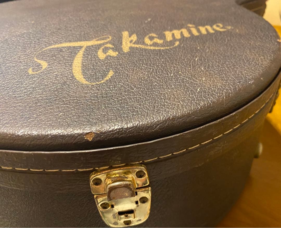 タカミネ DMP50S 2ピックアップ エレアコ ナチュラル