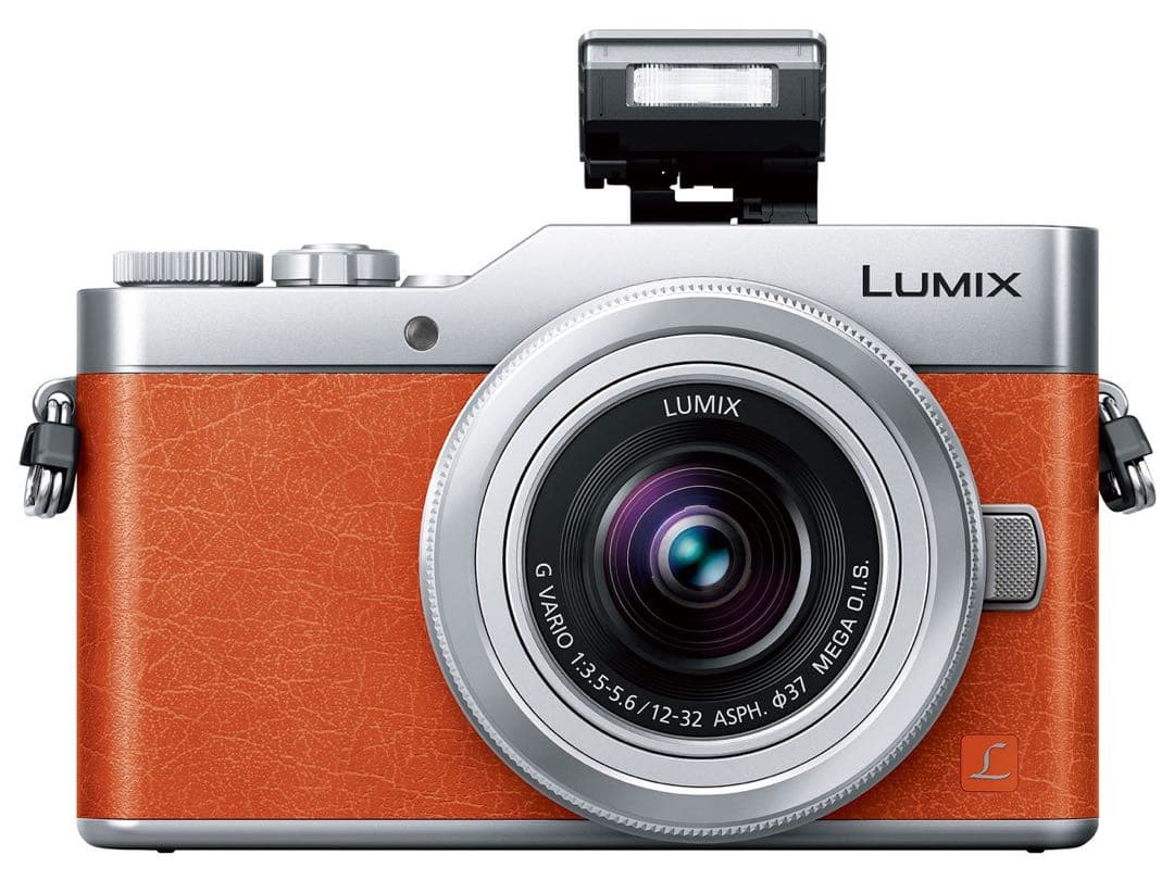 【簡易三脚&収納ポーチ2種付】Panasonic LUMIXダブルレンズキット