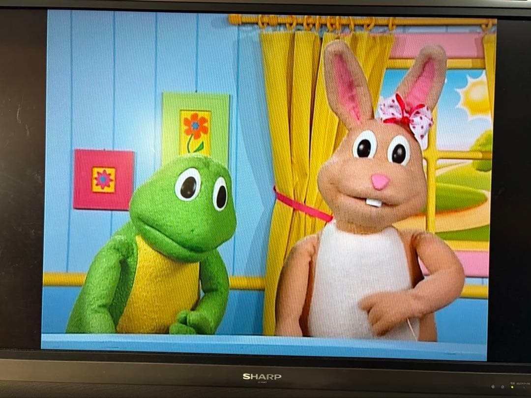 【DWE】Zippy and Me DVD CD フロギー＆バニー