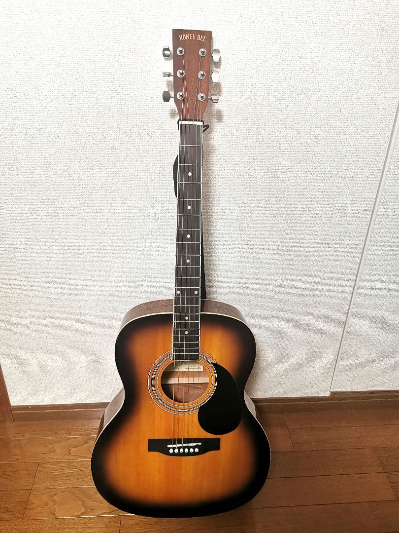 HONEY BEEハニービー　ギター　F-15M/TS マットフィニッシュモデル