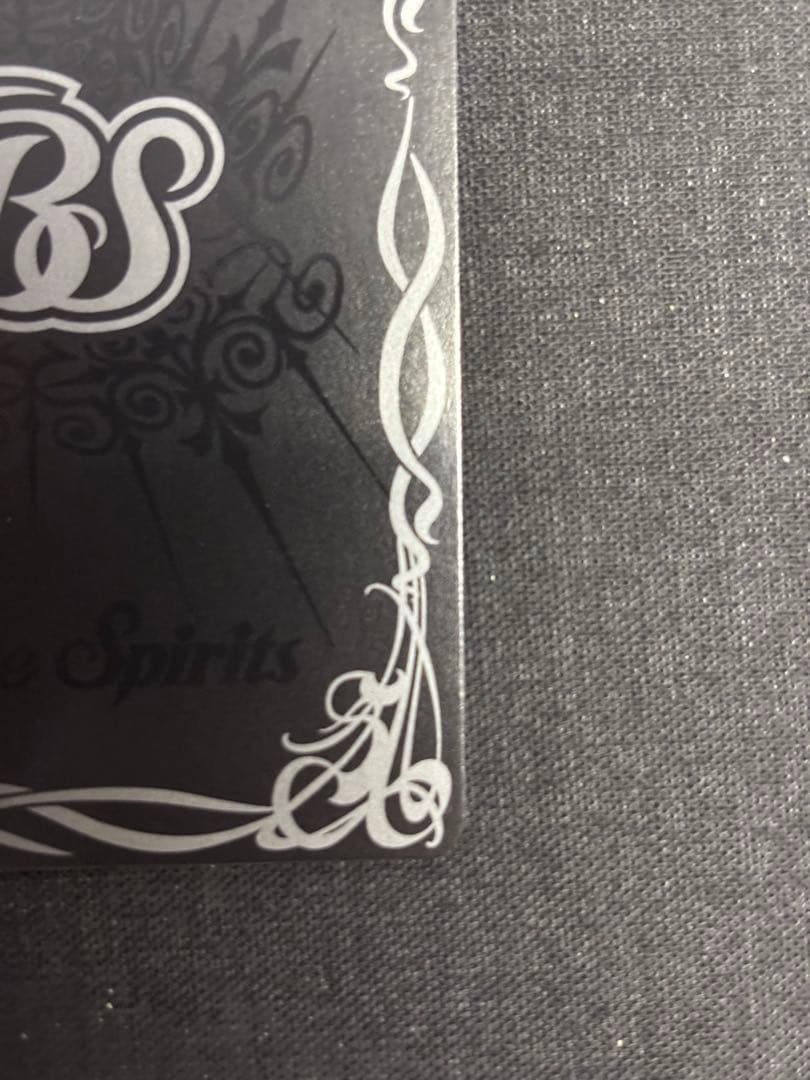 ［ずっと一緒に］レイオーバ　シークレット　10th secret