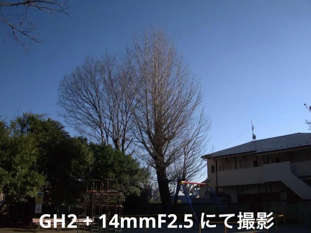 【動画の名機】Panasonic LUMIX DMC-GH2 ボディ