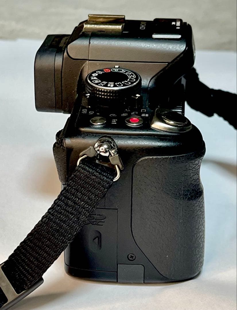 【動画の名機】Panasonic LUMIX DMC-GH2 ボディ